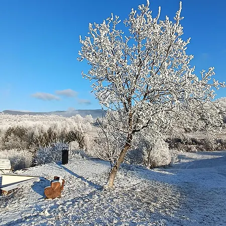 Pod Smrekmi Alpehytte *