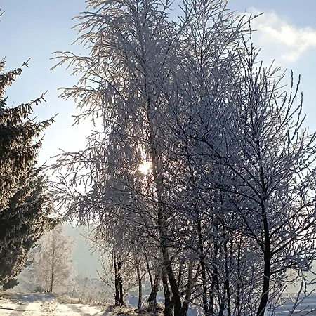 Pod Smrekmi Шале Hrinova