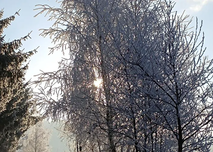Pod Smrekmi Chalet Hriňová